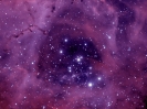 NGC2237 - Rosette Nebula