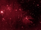 NGC2264 Christmas Tree and Cone Nebula